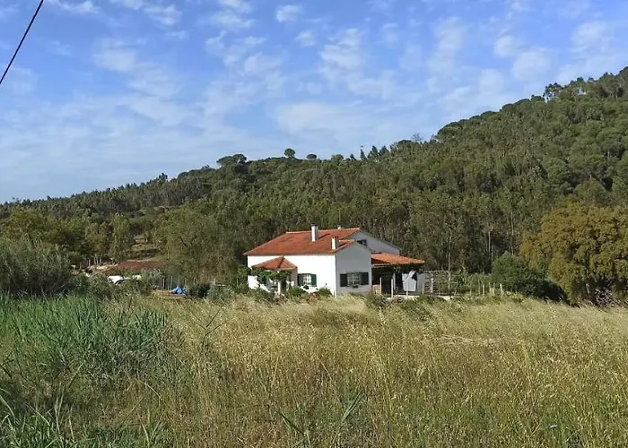 Al- Quinta Dos Carvalhais